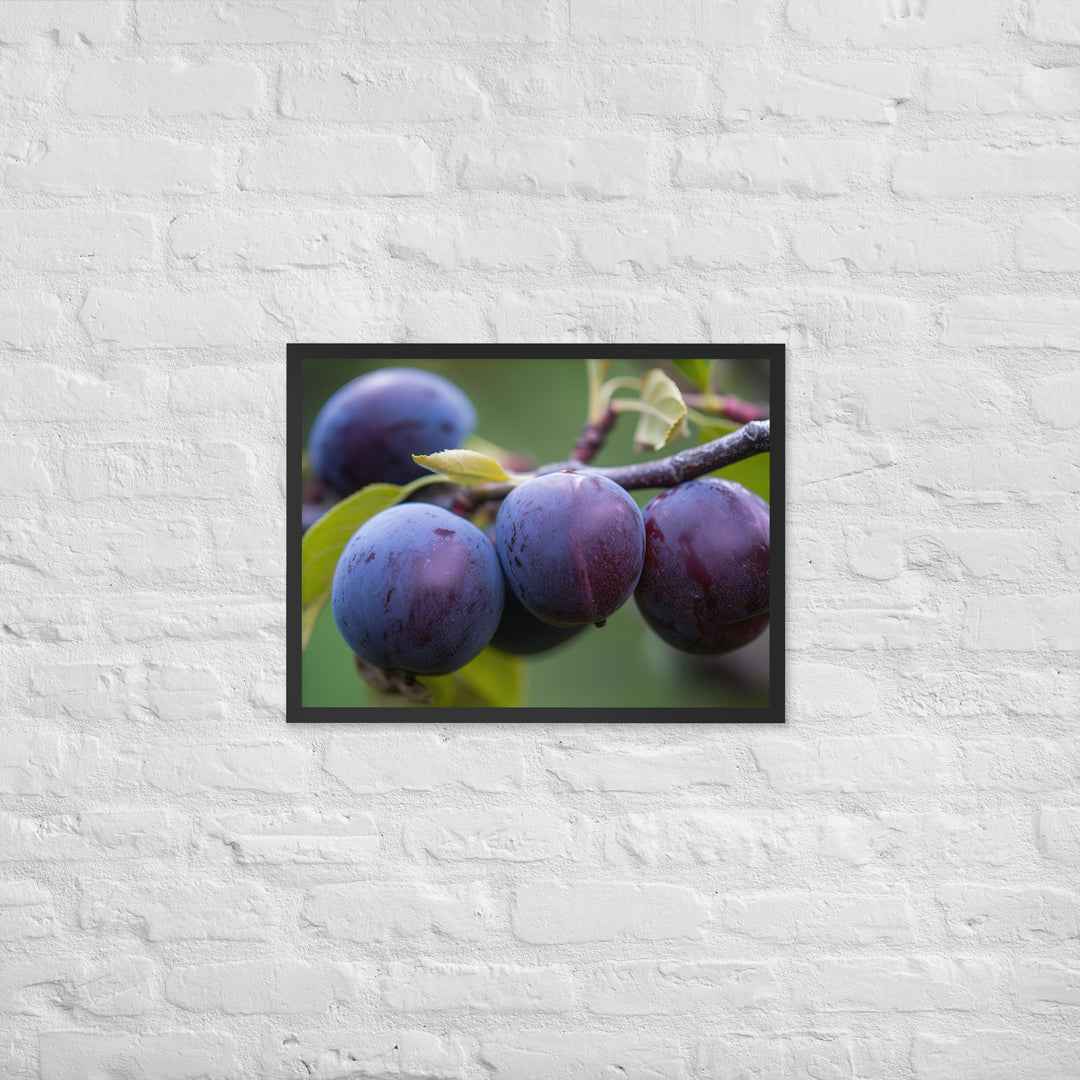 Plums on a Tree Framed poster 🤤 from Yumify.AI