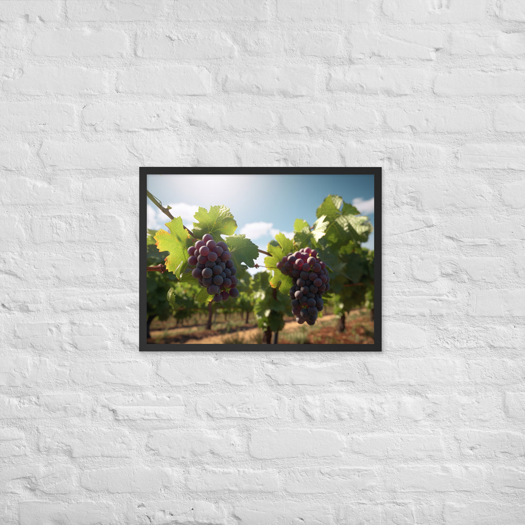 Vineyard Beauty Framed poster 🤤 from Yumify.AI