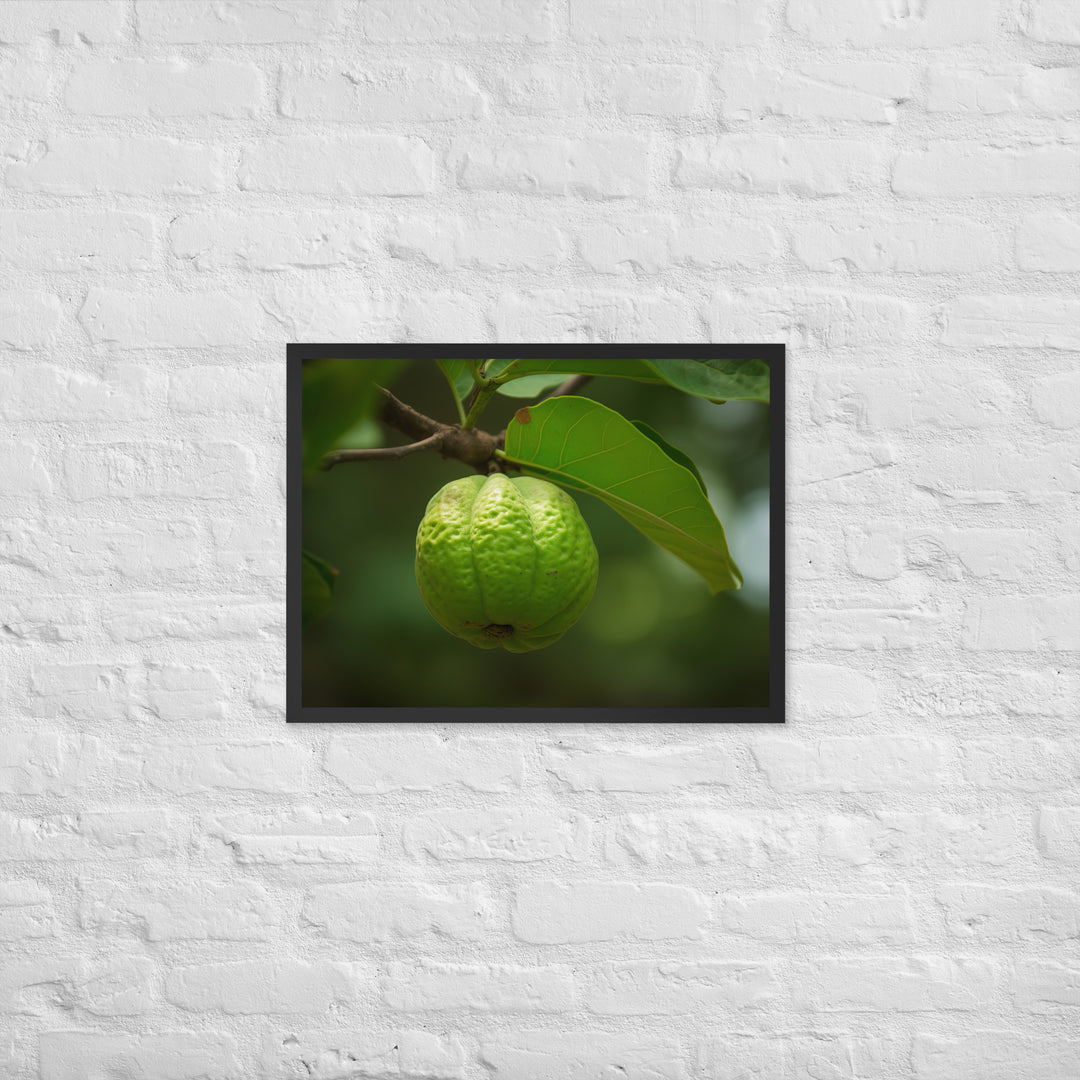 Guava on the Tree Framed poster 🤤 from Yumify.AI