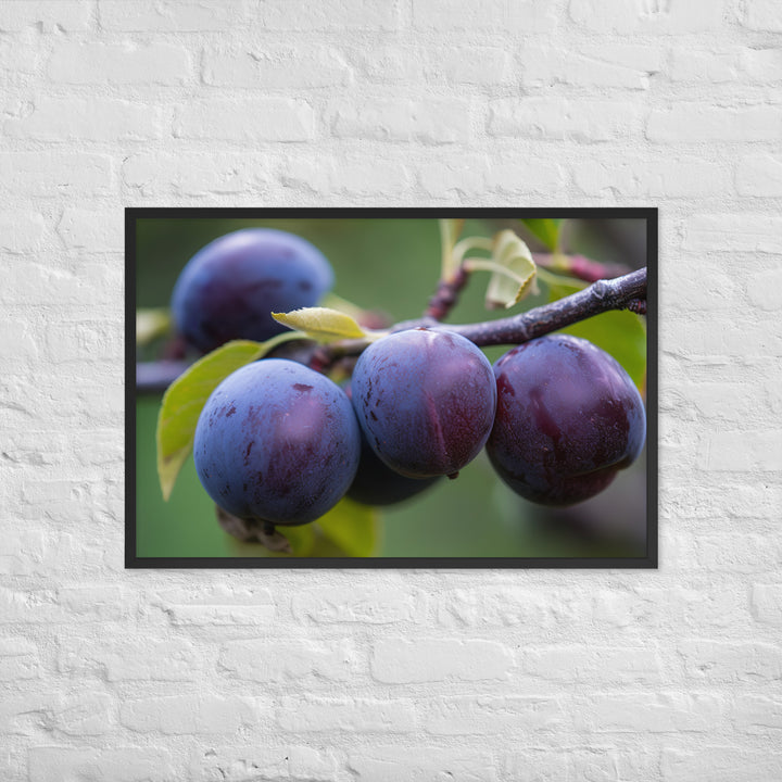 Plums on a Tree Framed poster 🤤 from Yumify.AI