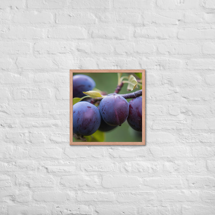 Plums on a Tree Framed poster 🤤 from Yumify.AI