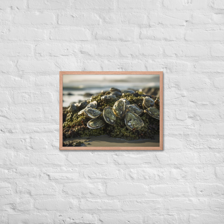 European Flat Oysters on a Bed of Seaweed Framed poster 🤤 from Yumify.AI