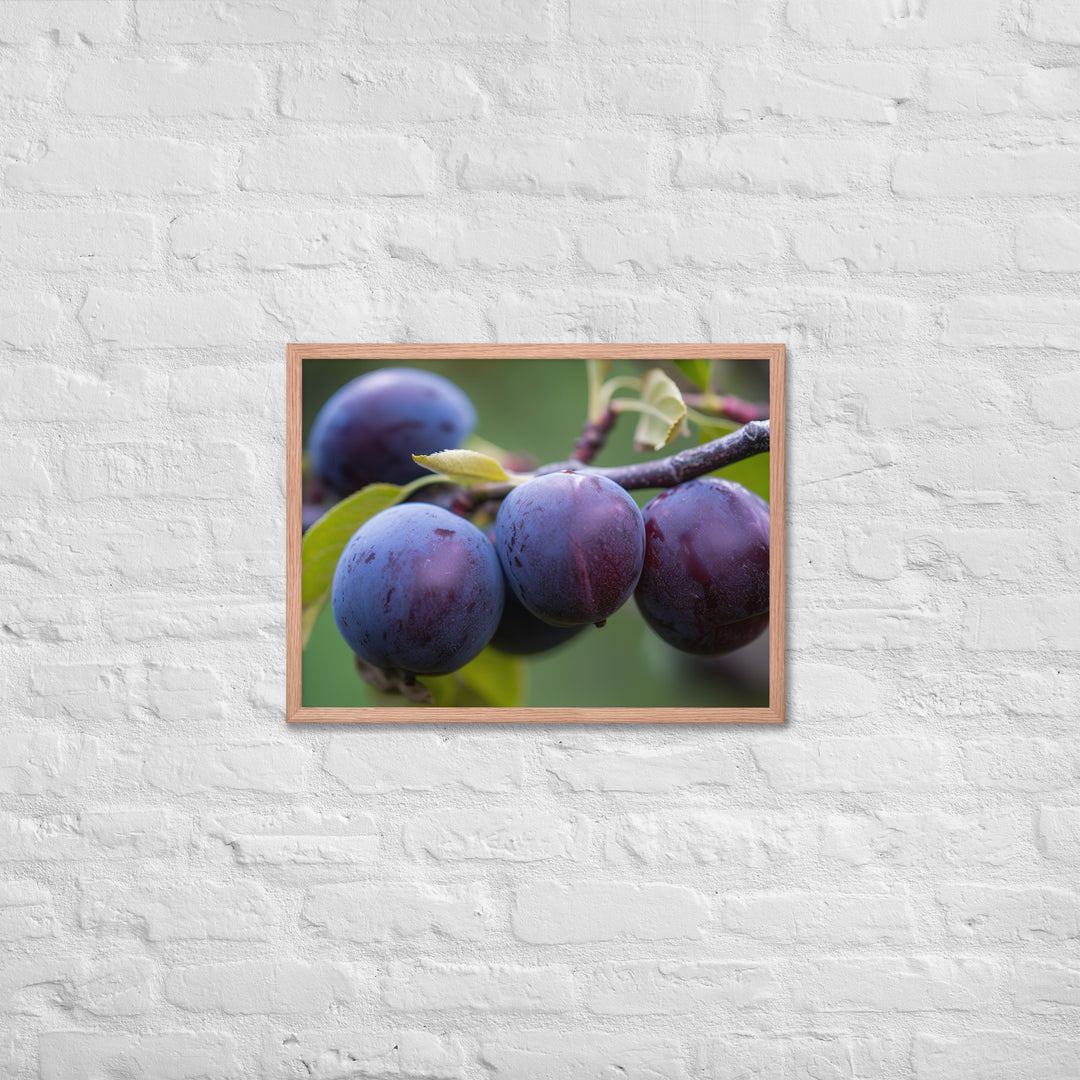 Plums on a Tree Framed poster 🤤 from Yumify.AI