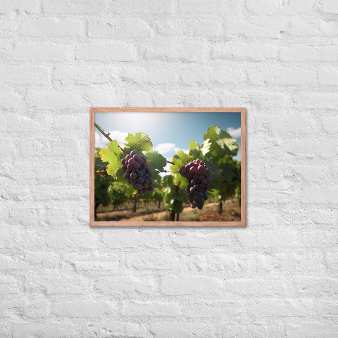 Vineyard Beauty Framed poster 🤤 from Yumify.AI