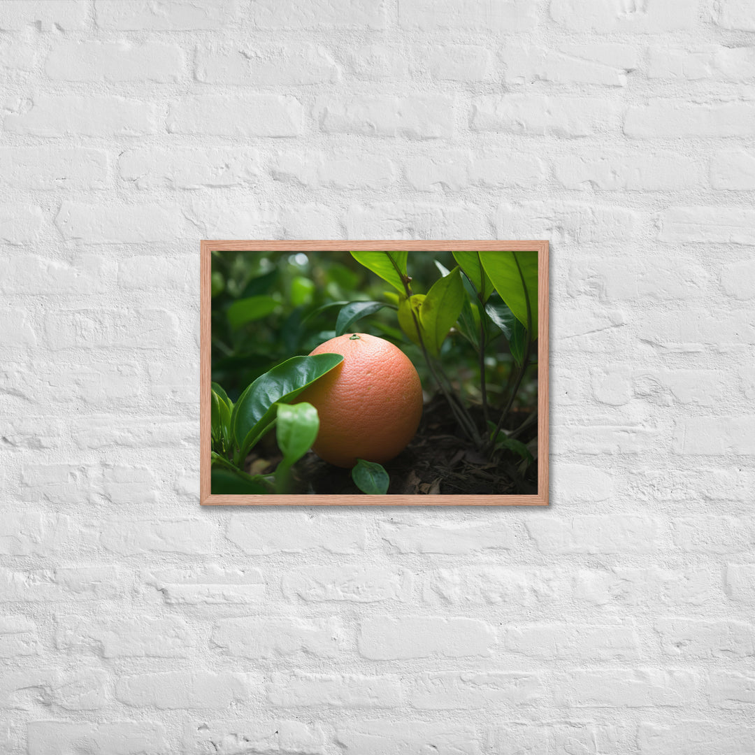 Grapefruit and Greens Framed poster 🤤 from Yumify.AI