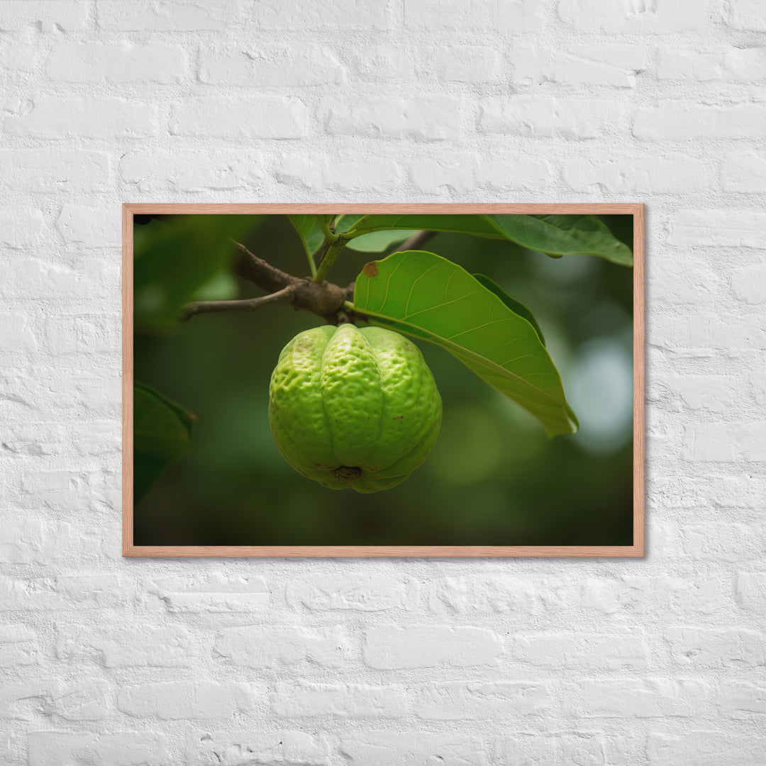 Guava on the Tree Framed poster 🤤 from Yumify.AI