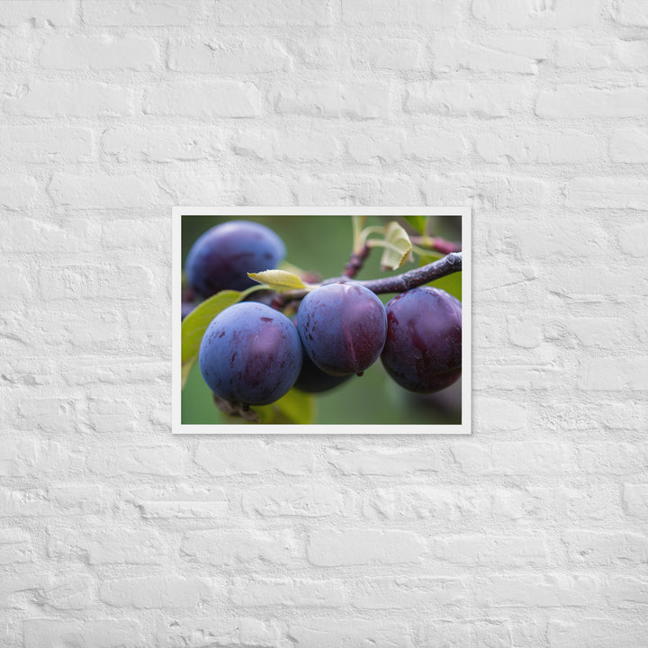 Plums on a Tree Framed poster 🤤 from Yumify.AI