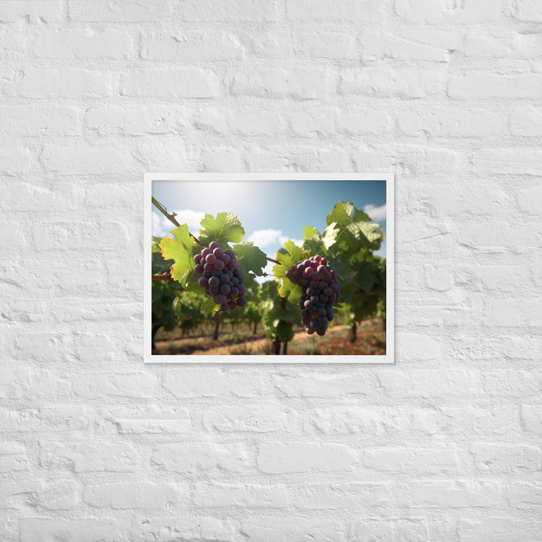 Vineyard Beauty Framed poster 🤤 from Yumify.AI